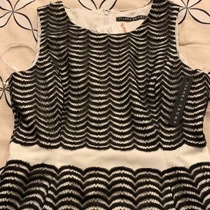Ivanka Trump black and cream dress.